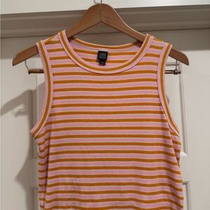 Wild Fable Pink and Orange Striped Tank Top